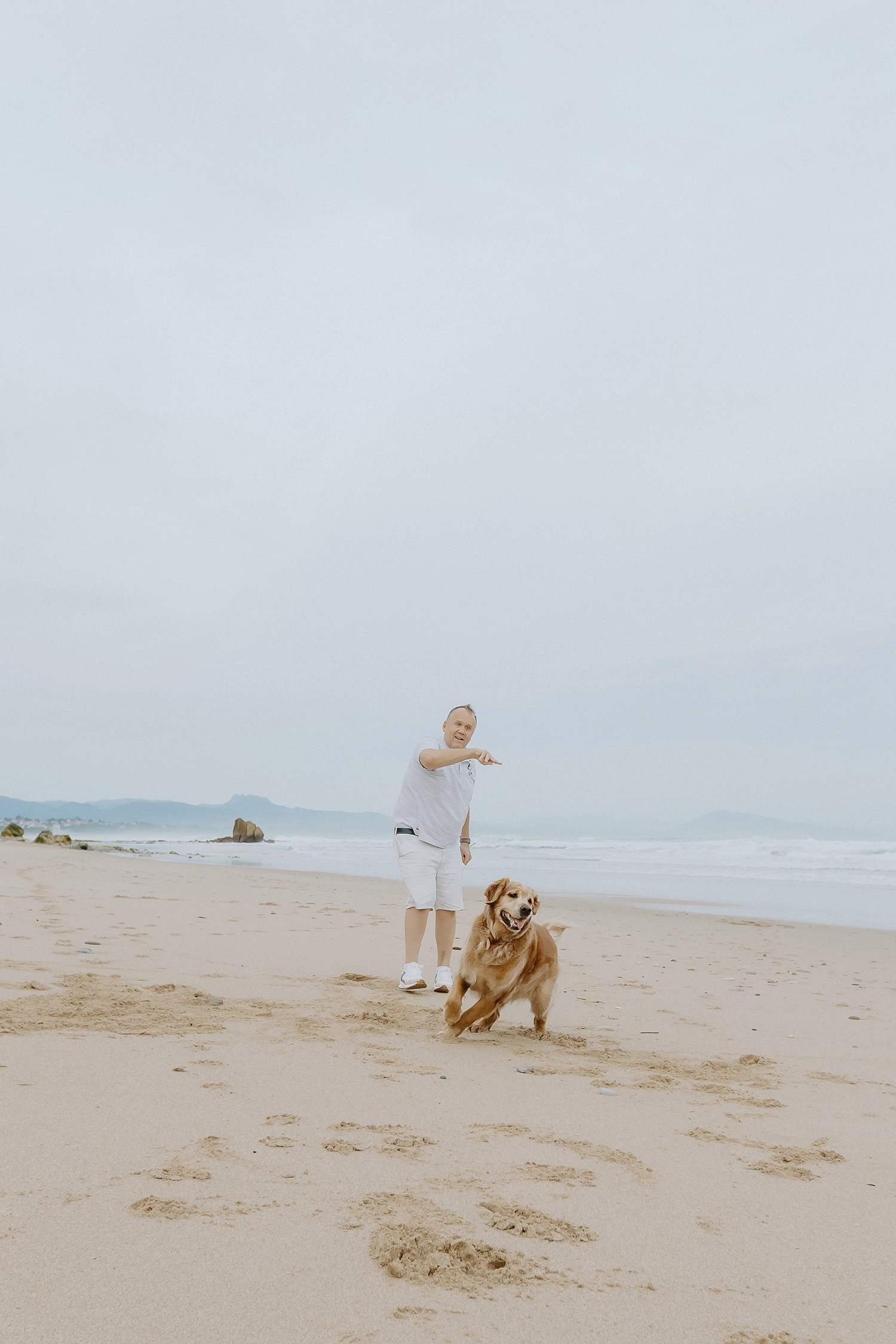 séance photo chien biarritz
